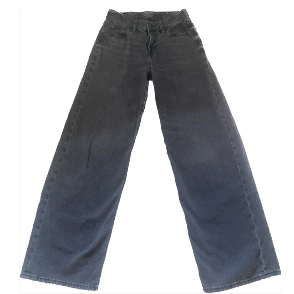 AE Low-Rise Baggy Wide-Leg Jean